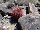 photo thumbnail #14