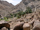 photo thumbnail #15