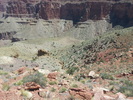 photo thumbnail #12