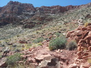photo thumbnail #14