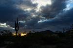 photo thumbnail #14