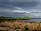 photo thumbnail #4