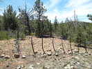 photo thumbnail #2