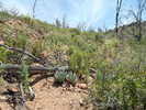 photo thumbnail #6