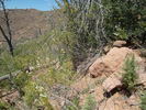 photo thumbnail #7