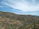 photo thumbnail #8