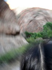 photo thumbnail #14