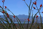 photo thumbnail #4
