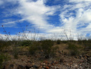 photo thumbnail #5