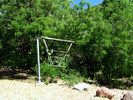 photo thumbnail #10