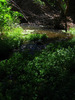 photo thumbnail #13