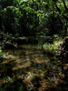 photo thumbnail #15