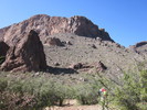 recent photo