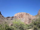 recent photo