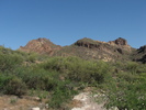 photo thumbnail #6