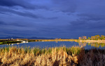 photo thumbnail #5
