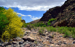 photo thumbnail #13