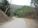 photo thumbnail #4