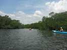 photo thumbnail #11