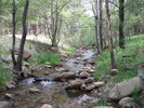 photo thumbnail #1