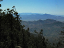 photo thumbnail #4