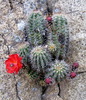 photo thumbnail #5