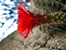 photo thumbnail #6