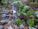 photo thumbnail #14