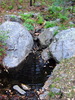 photo thumbnail #15