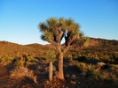 photo thumbnail #8