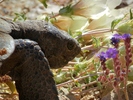 photo thumbnail #11