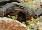 photo thumbnail #13