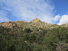 photo thumbnail #1