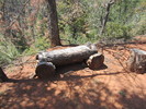 photo thumbnail #6