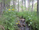 photo thumbnail #8
