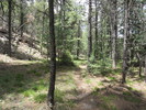 photo thumbnail #11