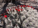 photo thumbnail #11
