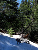 photo thumbnail #1