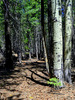 photo thumbnail #8