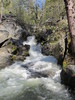 photo thumbnail #2