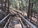 photo thumbnail #5