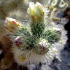 photo thumbnail #15