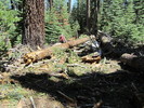photo thumbnail #6