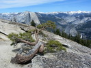 photo thumbnail #8