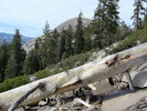 photo thumbnail #10