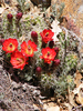photo thumbnail #5