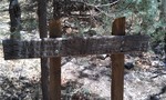 photo thumbnail #6