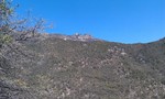 photo thumbnail #13