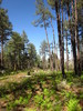photo thumbnail #5