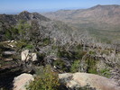photo thumbnail #9